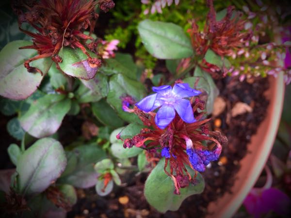 rblog-20151029145335-00.jpg