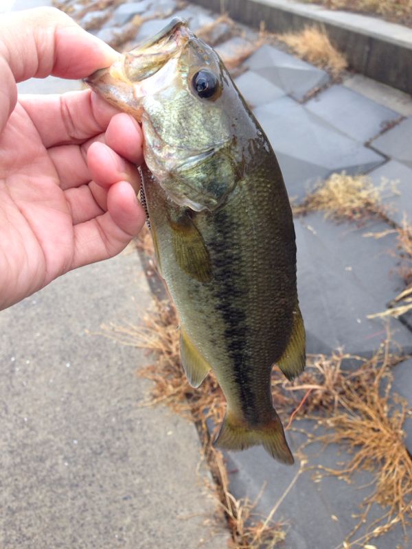 rblog-20140606141810-01.jpg
