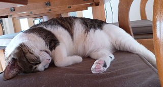 P1280255-ass.jpg