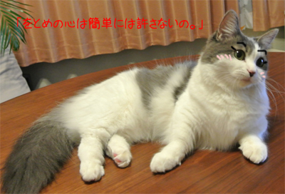 mumu6.jpg