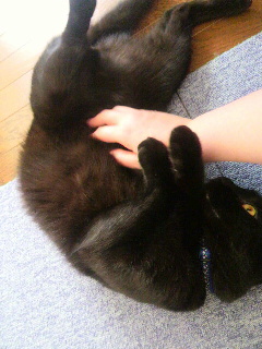 2013061518300000.jpg