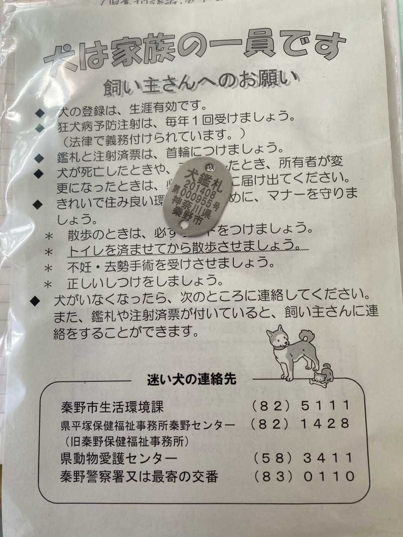 保護犬ちゃんの登録をしてきました 家族になりました 神奈川県秦野市に移住しました 楽天ブログ