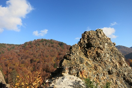 IMG_7969.jpg