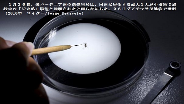 ジカ滅ｰ1