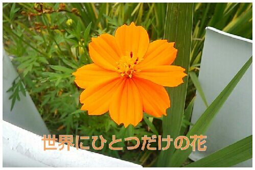 rblog-20160730144954-00.jpg