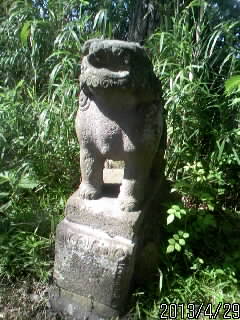 頼政神社の狛犬さま８