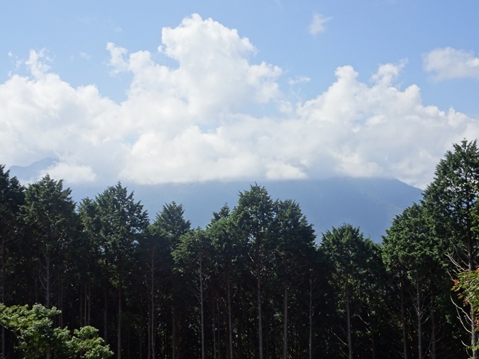 DSC01038_R.JPG