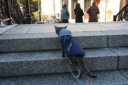 IMG_8673-7.jpg
