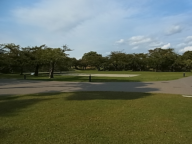 RIMG0058.JPG