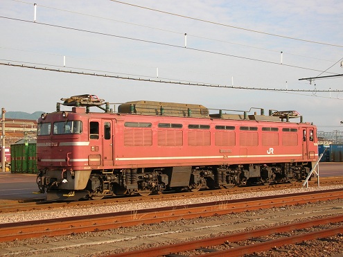 EF81