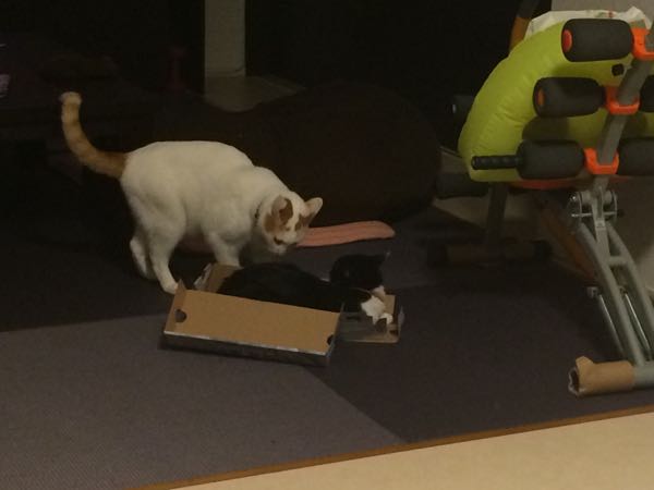 rblog-20150929062016-01.jpg