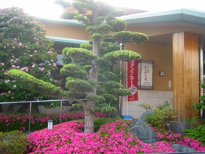 身延山・八ヶ岳クラブ 011.jpg