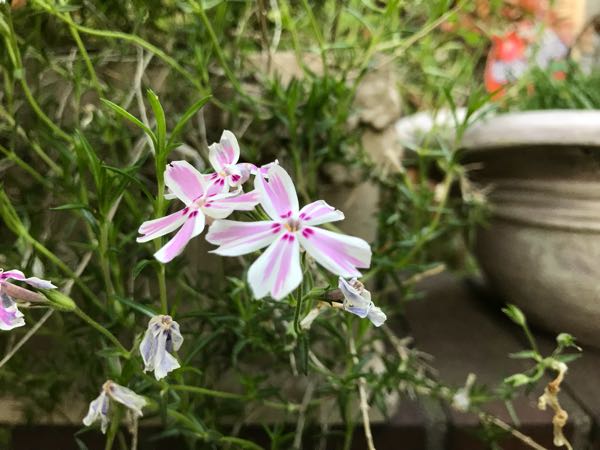 rblog-20180429182659-07.jpg