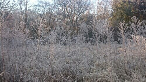 rblog-20180105033736-01.jpg