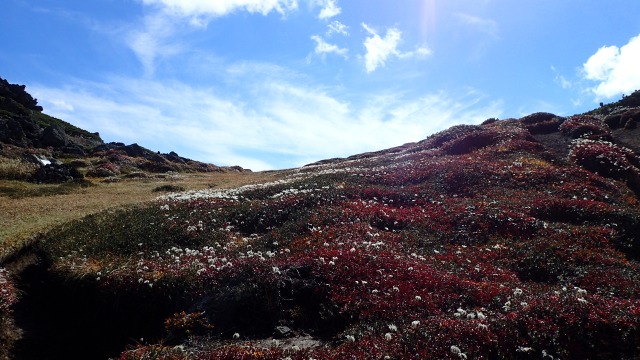 P9240604　12：59北海の登りで.jpg