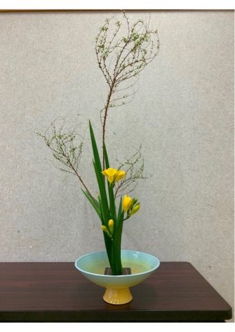 3月の雪柳とフリージア 花 Hana いけばな くらし 楽天ブログ 3月の雪柳とフリージア 花 Hana いけばな くらし 楽天ブログ