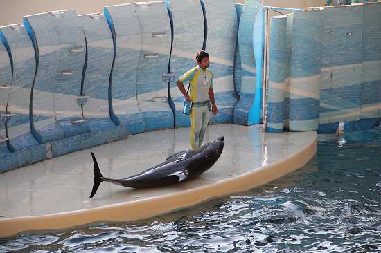 新江ノ島水族館