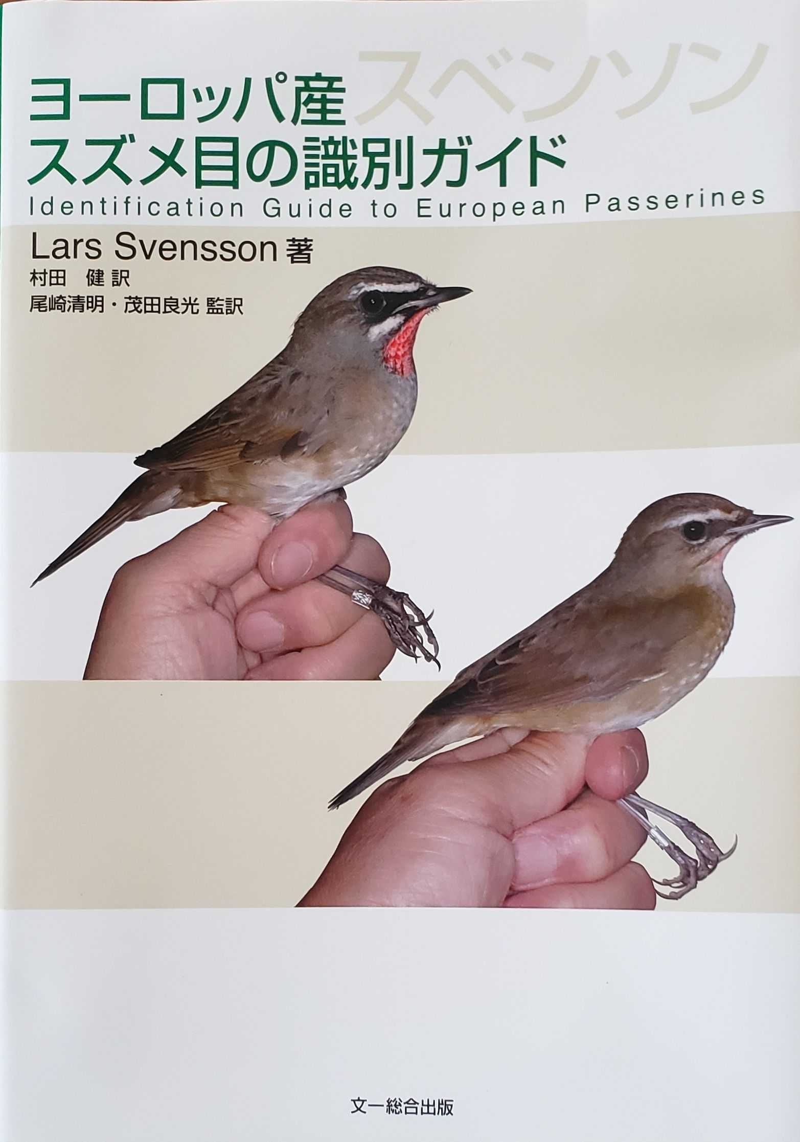 鳥の本 ヨーロッパ産スズメ目の識別ガイド まみきびのブログ 楽天ブログ
