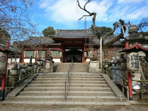 rblog-20180120000442-01.jpg