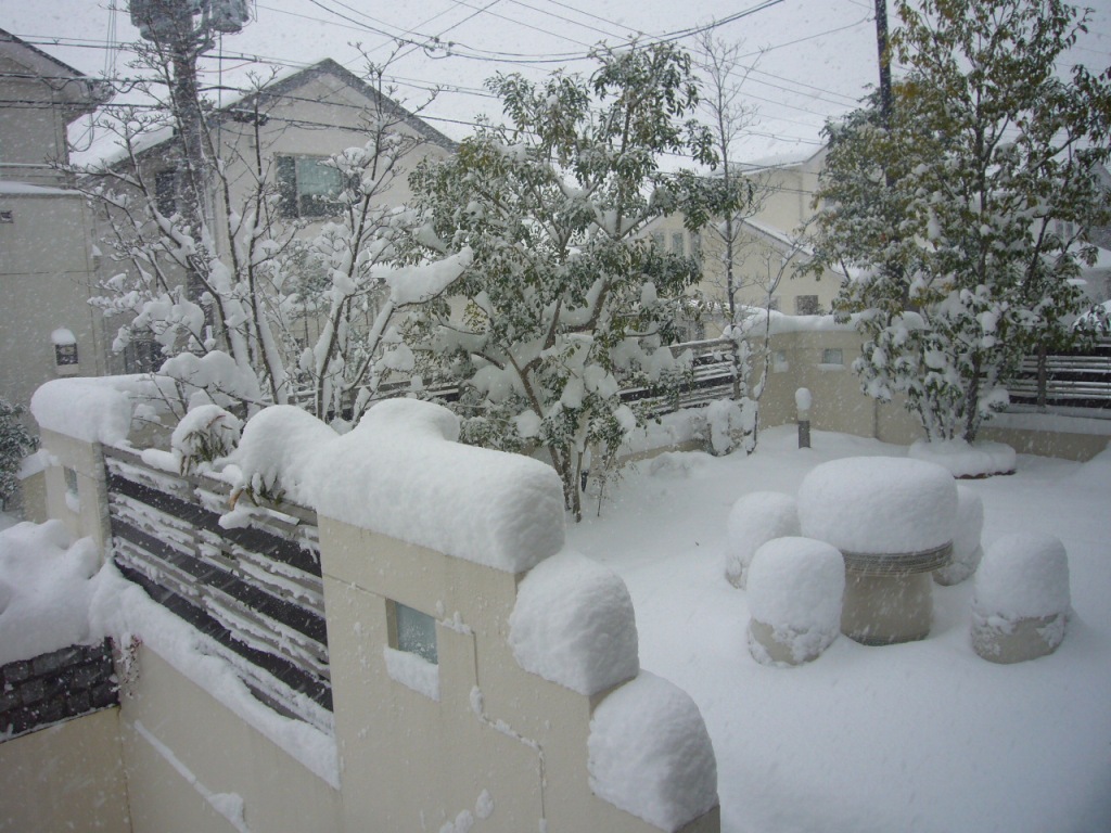 P1170356-.jpg