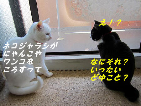 いったいどゆこと?.jpg