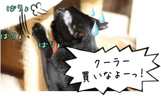 画像 181.jpg