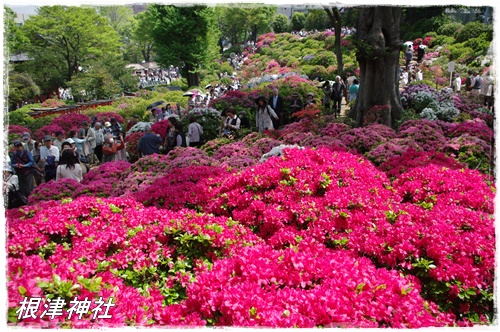 根津神社