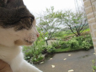 IMG_9247ss.jpg