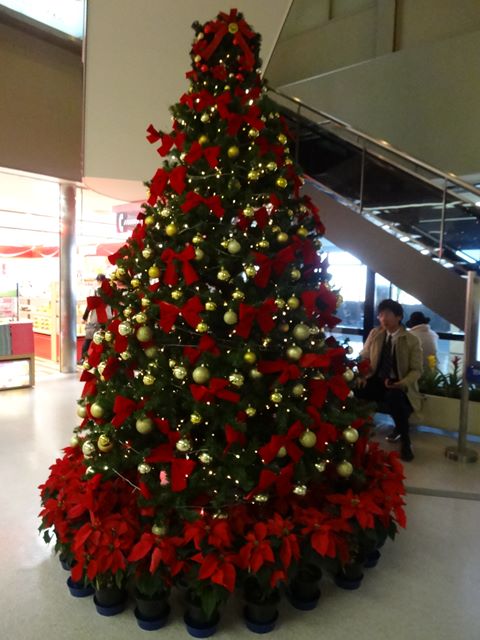 DSC08053_R.JPG