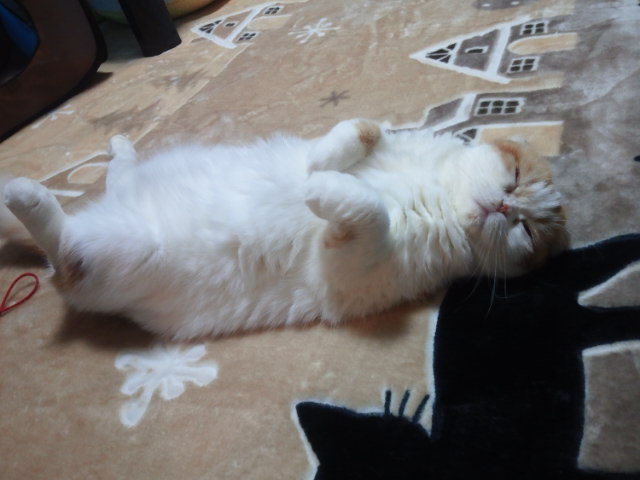 とろけちゅうにゃ♪