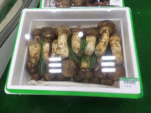 rblog-20140910173720-01.jpg