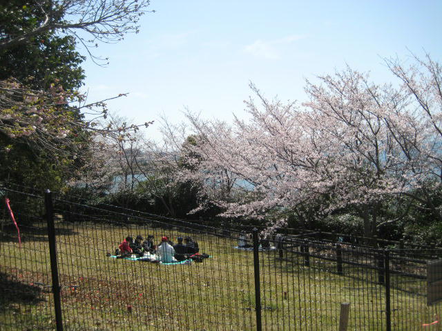 IMG_7970.JPG