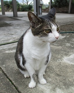 IMG_9472ss.jpg