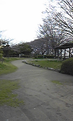 150404_071716.jpg
