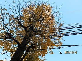 IMG_0905b.jpg