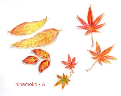 紅葉ｓ.jpg