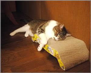 どうしてもこぼれます