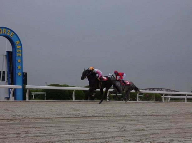 2017ヤングジョッキーズシリーズ トライアルラウンド笠松 | 地方競馬の