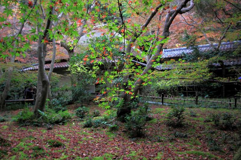 祇王寺_006.jpg