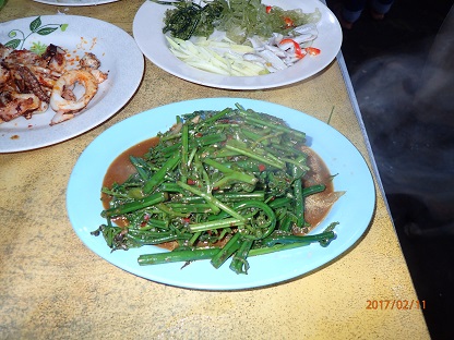 P2110050.JPG