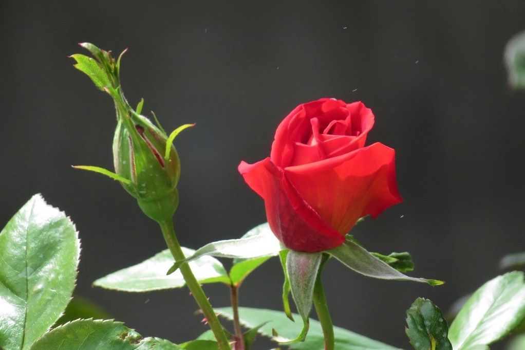 465