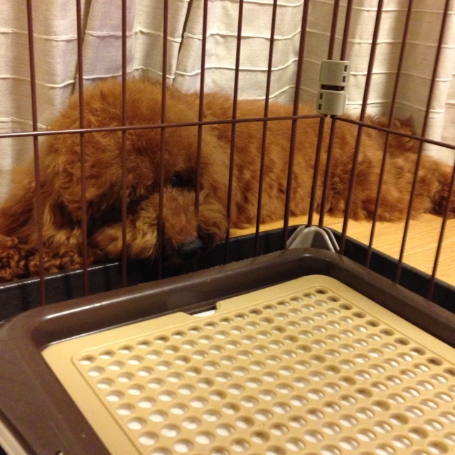 rblog-20130601071530-00.jpg