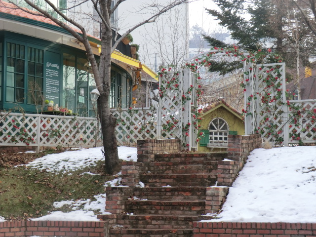 2013_0120_103957-CIMG5305.JPG