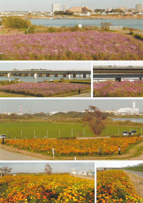 2012馬入公園・うたゆの宿A