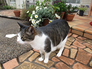 IMG_0677ss.jpg
