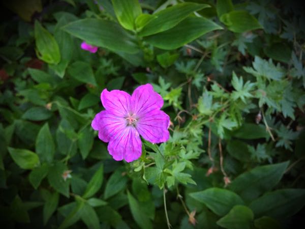 rblog-20160710211846-05.jpg