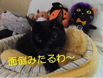 20121101_5.jpg