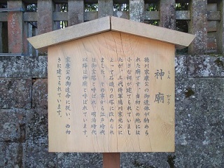 65.jpg