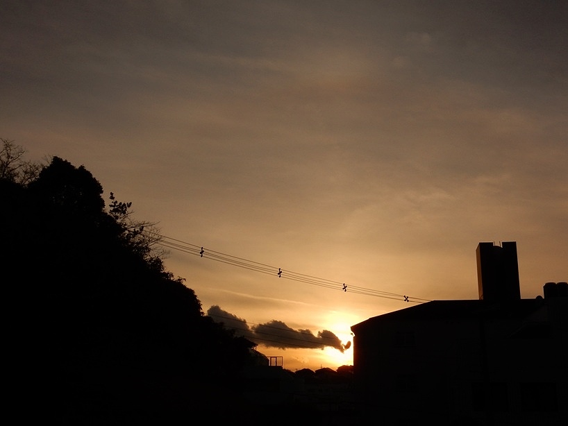 夕暮れ 2.JPG