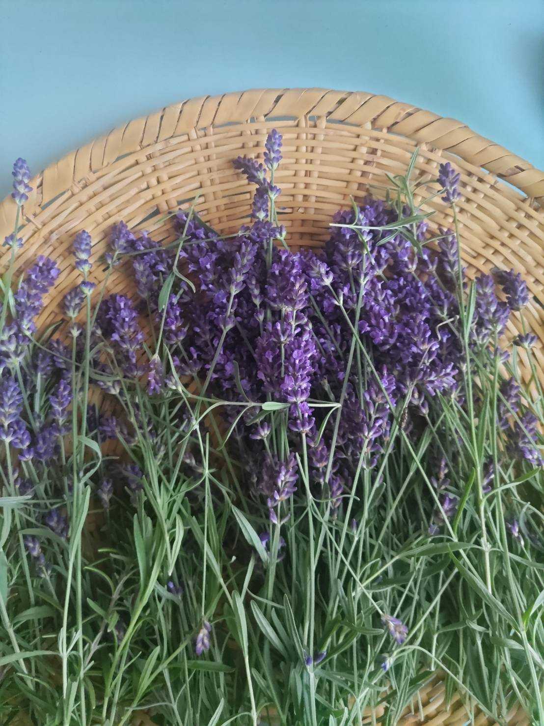 ゆるりと暮らす。